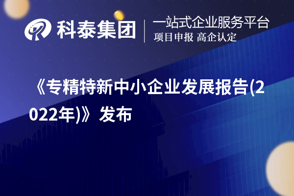 《專精特新中小企業發展報告(2022年)》發布