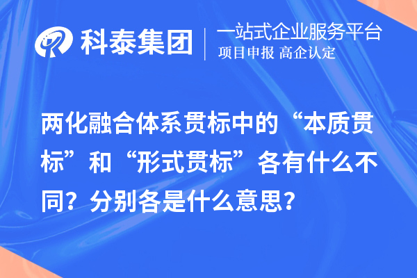 兩化融合體系貫標中的“本質貫標”和“形式貫標”各有什么不同？分別各是什么意思？