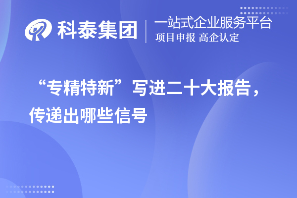 “專精特新”寫進二十大報告，傳遞出哪些信號