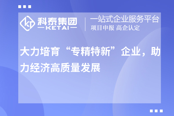 大力培育“專精特新”企業，助力經濟高質量發展