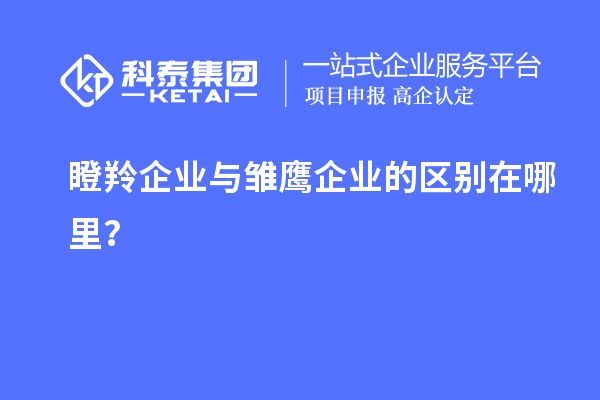 瞪羚企業與雛鷹企業的區別在哪里？