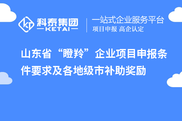 山東省“瞪羚”企業<a href=http://www.zh-tour.cn/shenbao.html target=_blank class=infotextkey>項目申報</a>條件要求及各地級市補助獎勵