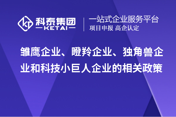 雛鷹企業、瞪羚企業、獨角獸企業和科技小巨人企業的相關政策