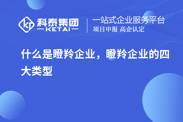 什么是瞪羚企業，瞪羚企業的四大類型