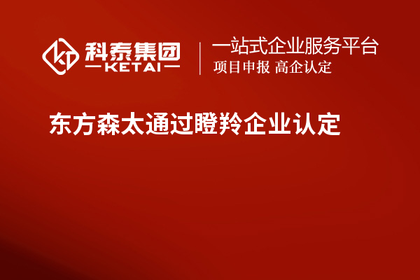 東方森太通過<a href=http://www.zh-tour.cn/fuwu/dengling.html target=_blank class=infotextkey>瞪羚企業認定</a>
