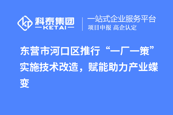 東營市河口區推行“一廠一策”實施技術改造，賦能助力產業蝶變