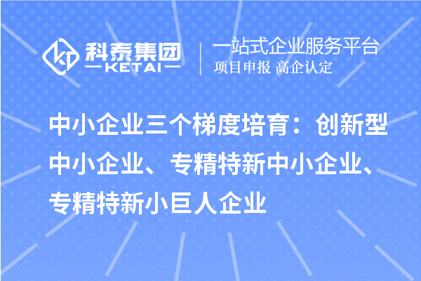 中小企業三個梯度培育：創新型中小企業、專精特新中小企業、專精特新小巨人企業
