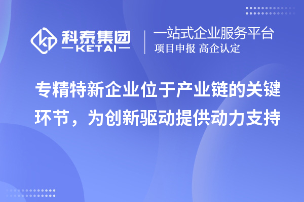 專精特新企業位于產業鏈的關鍵環節，為創新驅動提供動力支持
