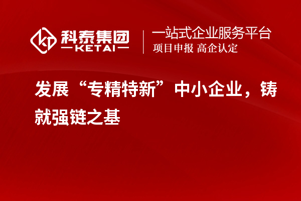 發展“專精特新”中小企業，鑄就強鏈之基