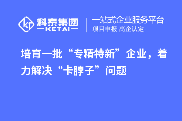 培育一批“專精特新”企業，著力解決“卡脖子”問題