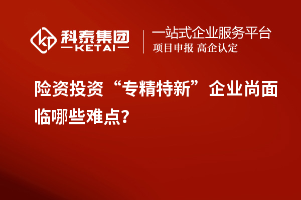 險資投資“專精特新”企業尚面臨哪些難點？