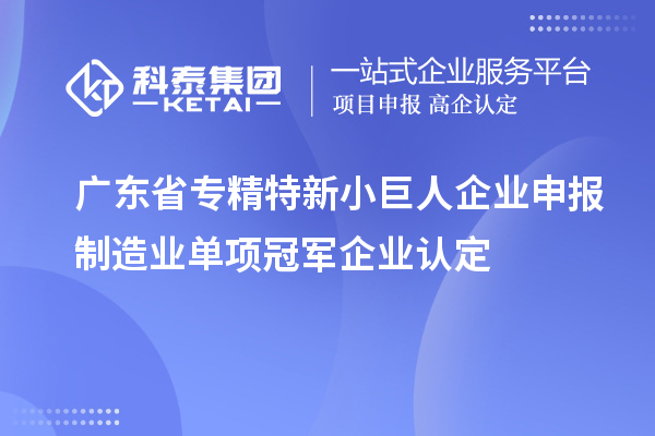 廣東省專精特新小巨人企業申報制造業單項冠軍企業認定