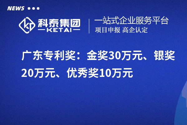 廣東專利獎：金獎30萬元、銀獎20萬元、優秀獎10萬元（省級）