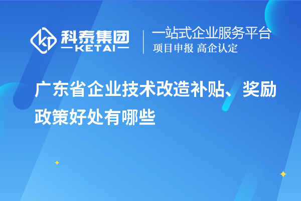 廣東省企業技術改造補貼、獎勵政策好處有哪些