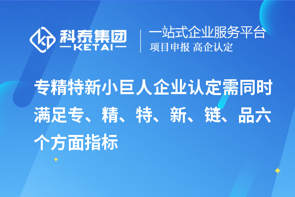專精特新小巨人企業認定需同時滿足專、精、特、 新、鏈、品六個方面指標
