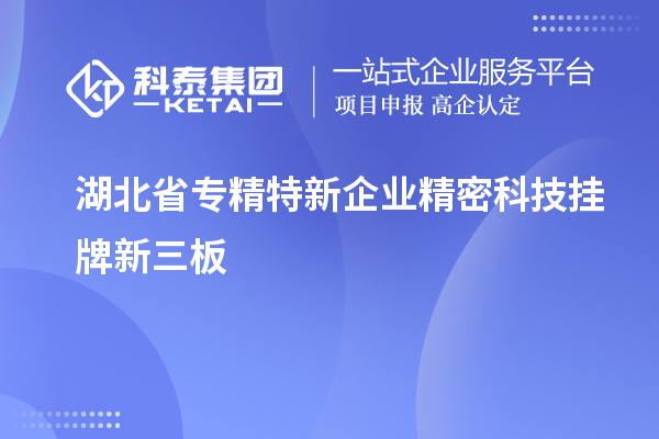 湖北省專精特新企業精密科技掛牌新三板