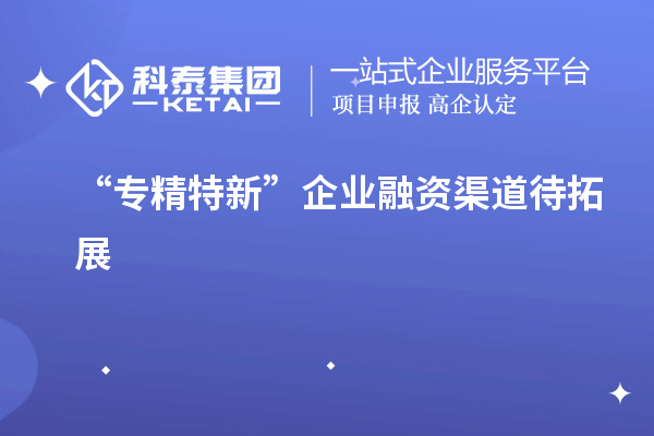 “專精特新”企業融資渠道待拓展