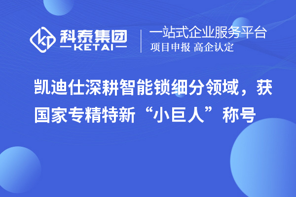 凱迪仕深耕智能鎖細分領域，獲國家專精特新“小巨人”稱號