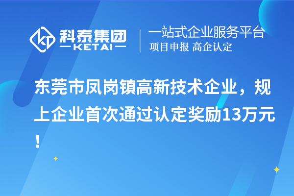 東莞市鳳崗鎮高新技術企業，規上企業首次通過認定獎勵13萬元！