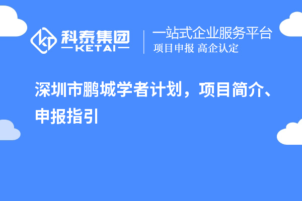 深圳市鵬城學者計劃，項目簡介、申報指引