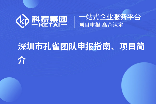 深圳市孔雀團隊申報指南、項目簡介
