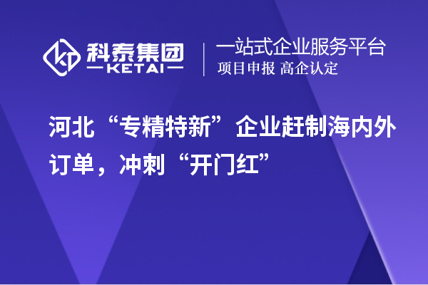 河北“專精特新”企業趕制海內外訂單，沖刺“開門紅”