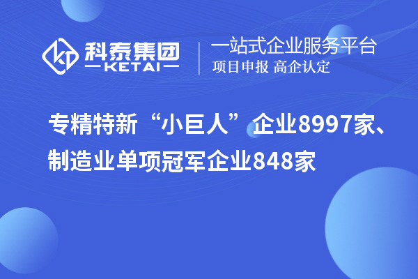 專精特新“小巨人”企業8997家、制造業單項冠軍企業848家