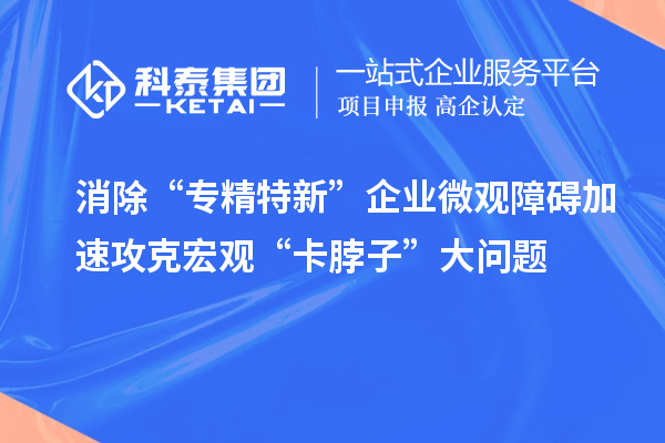 消除“專精特新”企業微觀障礙 加速攻克宏觀“卡脖子”大問題