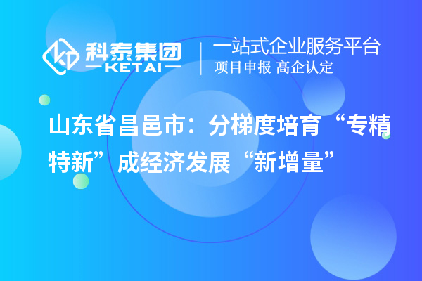 山東省昌邑市：分梯度培育 “專精特新”成經濟發展“新增量”