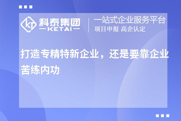 打造專精特新企業，還是要靠企業苦練內功