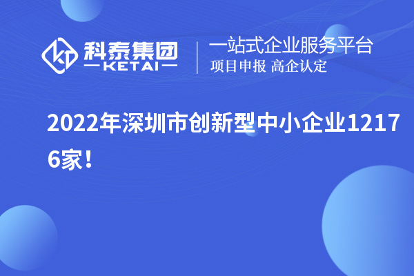 2022年深圳市創新型中小企業12176家！