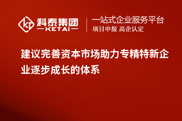 建議完善資本市場助力專精特新企業逐步成長的體系