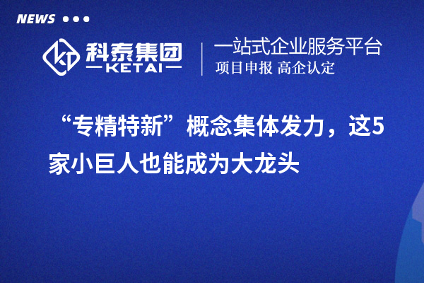 “專精特新”概念集體發力，這5家小巨人也能成為大龍頭