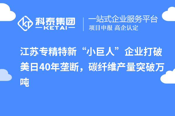 江蘇專精特新“小巨人”企業打破美日40年壟斷，碳纖維產量突破萬噸