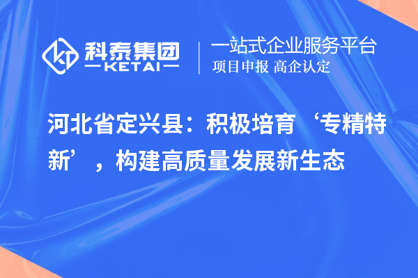 河北省定興縣：積極培育‘專精特新’，構建高質量發展新生態
