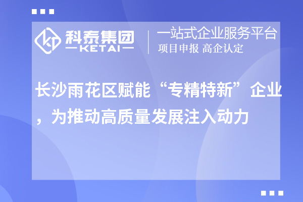 長沙雨花區賦能“專精特新”企業，為推動高質量發展注入動力