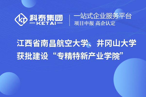江西省南昌航空大學、井岡山大學獲批建設“專精特新產業學院”