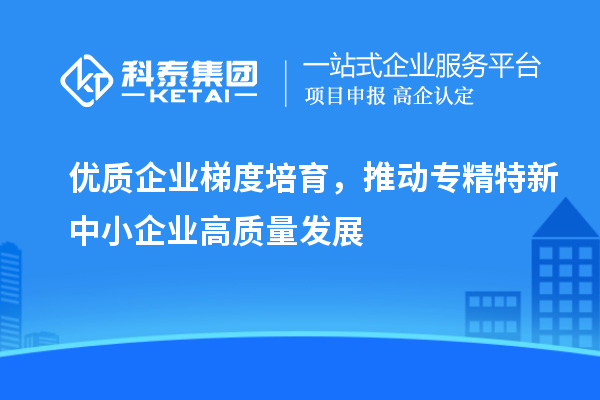 優質企業梯度培育，推動專精特新中小企業高質量發展