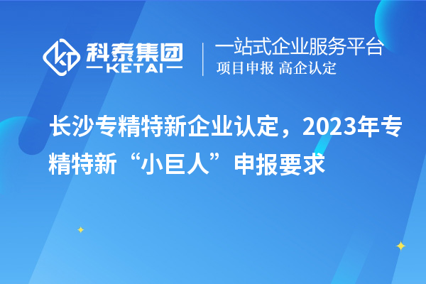 長沙專精特新企業認定，2023年專精特新“小巨人”申報要求