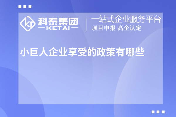 小巨人企業享受的政策有哪些