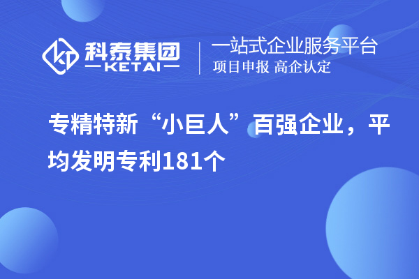 專精特新“小巨人”百強企業，平均發明專利181個