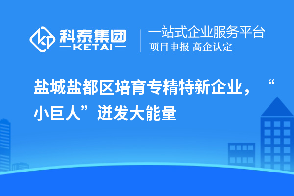 鹽城鹽都區培育專精特新企業，“小巨人”迸發大能量