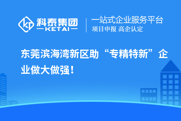 東莞濱海灣新區助“專精特新”企業做大做強！
