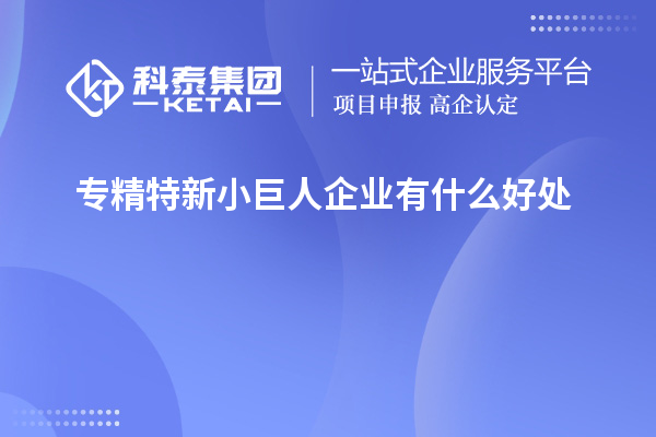 專精特新小巨人企業有什么好處