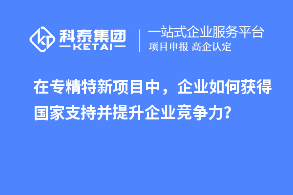 在專精特新項目中，企業如何獲得國家支持并提升企業競爭力？
