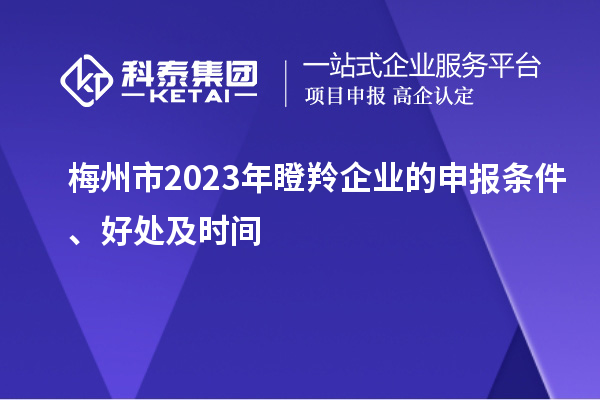 梅州市2023年瞪羚企業的申報條件、好處及時間