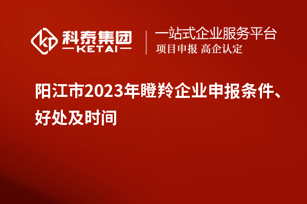 陽江市2023年瞪羚企業申報條件、好處及時間