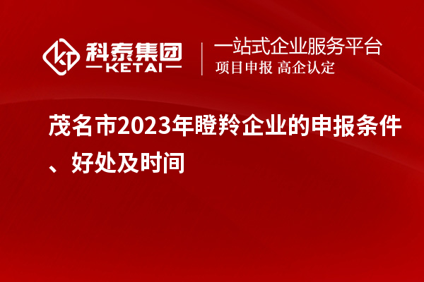茂名市2023年瞪羚企業的申報條件、好處及時間