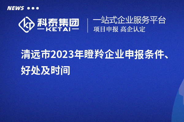 清遠市2023年瞪羚企業申報條件、好處及時間