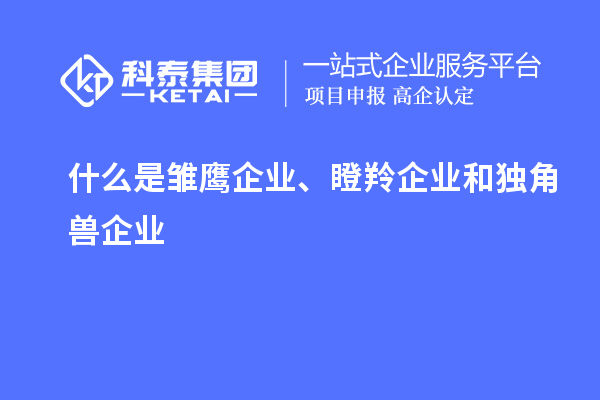 什么是雛鷹企業、瞪羚企業和獨角獸企業